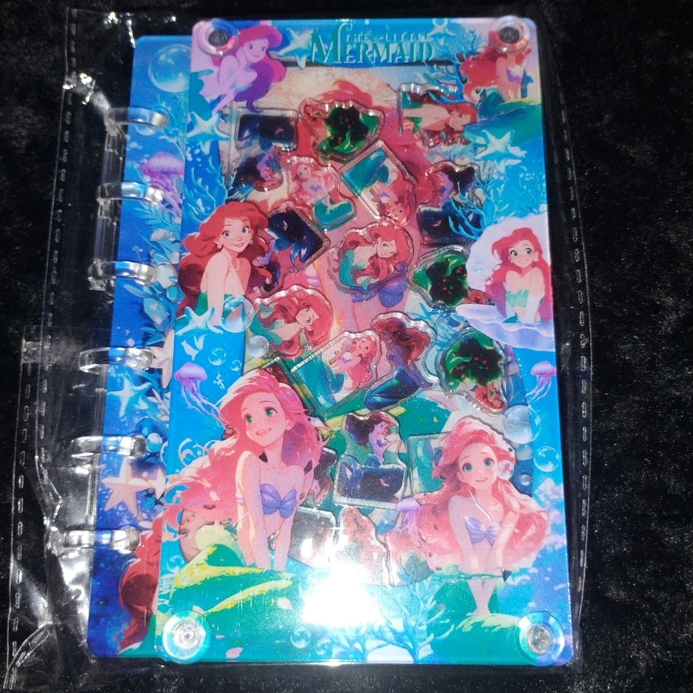 Ariel Shaker Notebook